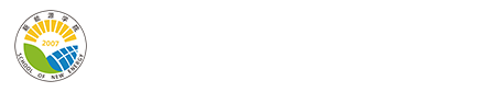 电竞比分